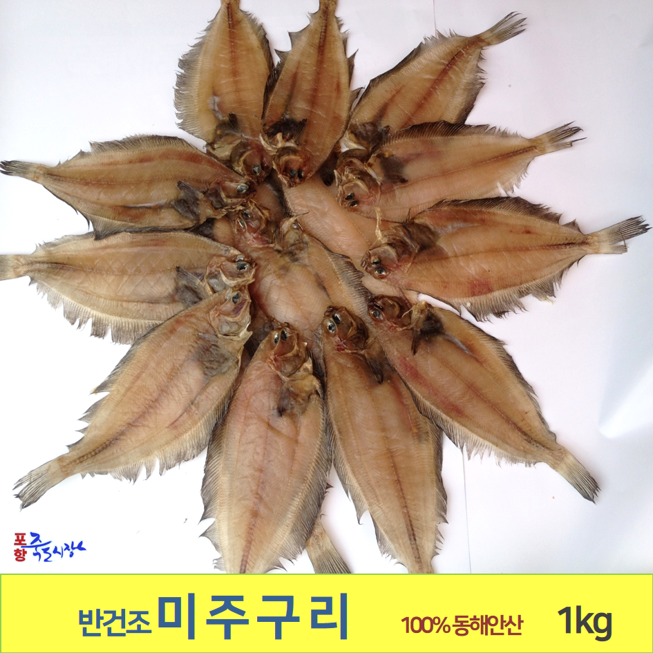 물가자미 미주구리가자미 1kg기준 포항 죽도시장 특미