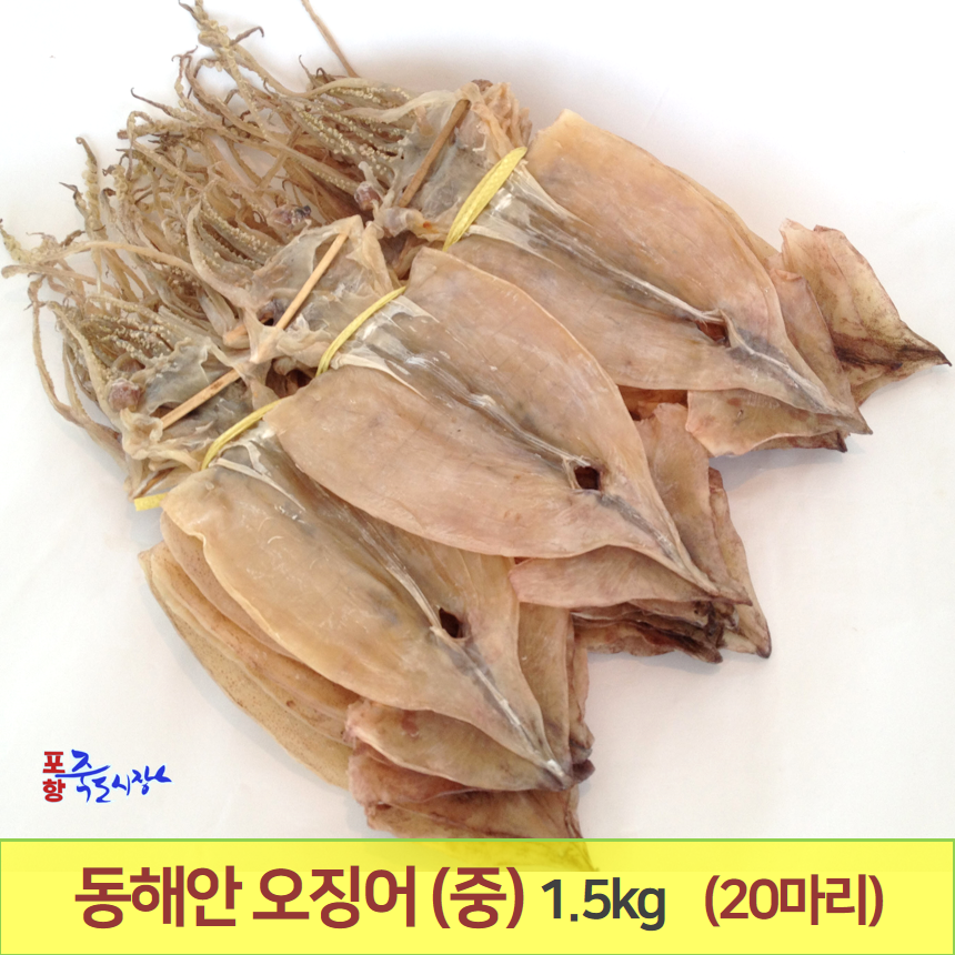오징어 1축 (中) (20마리) 1,5kg 동해안 건오징어 마른오징어 포항 죽도시장